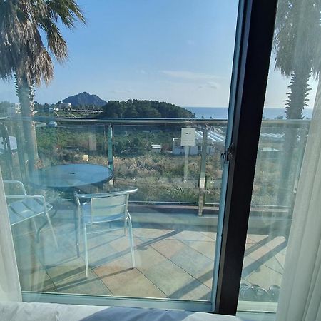 Beewool Chaewool Pension Seogwipo Chambre photo